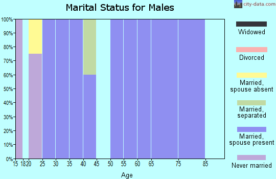 Zip code 38869 marital status for males