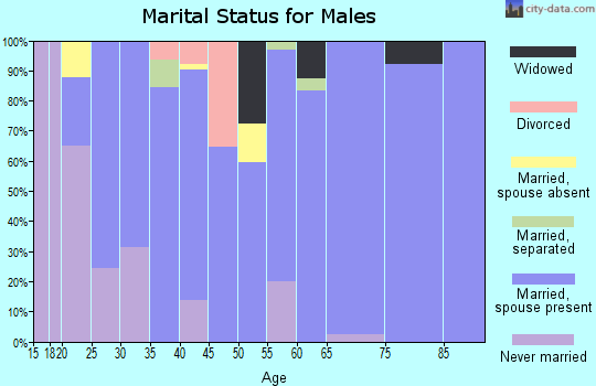 Zip code 38870 marital status for males