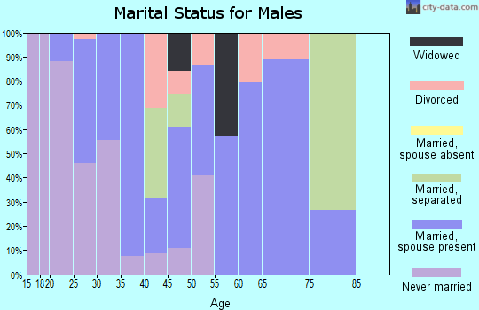 Zip code 38871 marital status for males