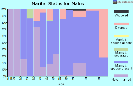 Zip code 38873 marital status for males