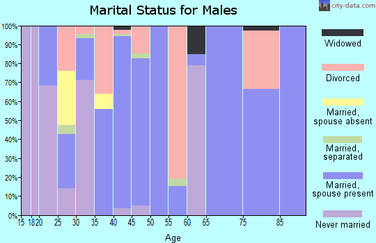 Zip code 38876 marital status for males