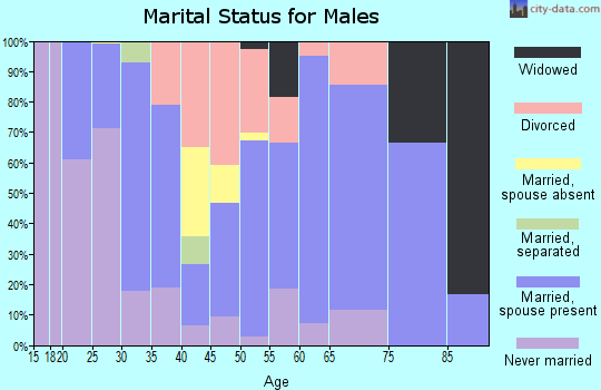 Zip code 38878 marital status for males