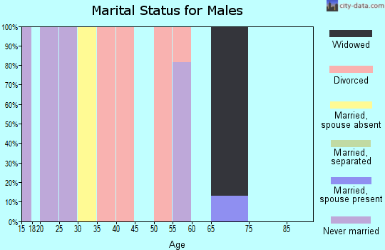 Zip code 38879 marital status for males