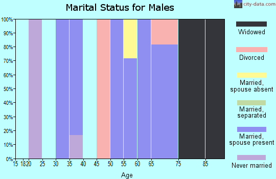 Zip code 38920 marital status for males