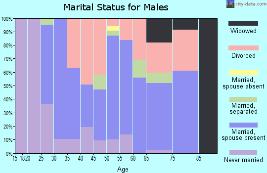 Zip code 38921 marital status for males