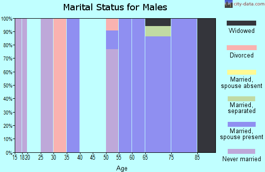Zip code 38923 marital status for males