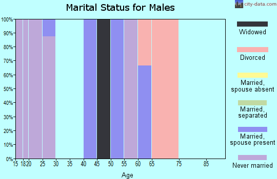 Zip code 38928 marital status for males