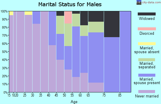 Zip code 38941 marital status for males