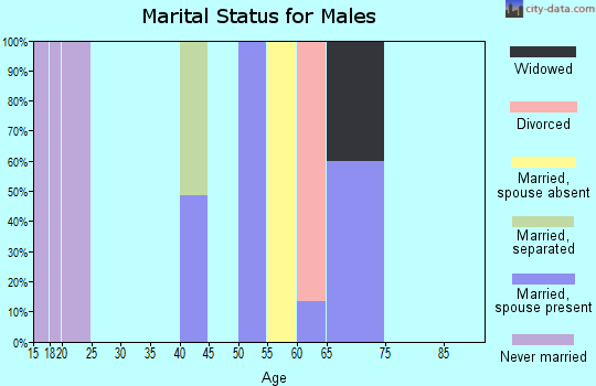 Zip code 38944 marital status for males