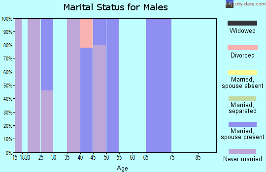 Zip code 38946 marital status for males