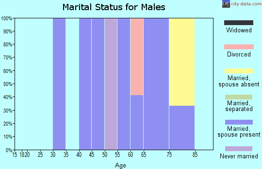 Zip code 38947 marital status for males