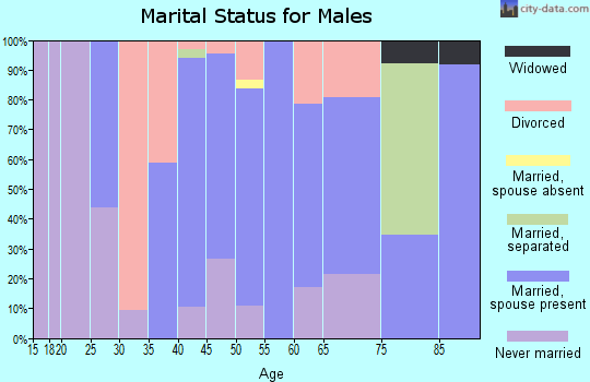 Zip code 38951 marital status for males