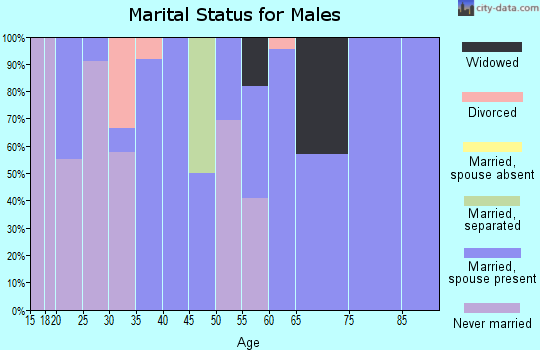 Zip code 38952 marital status for males