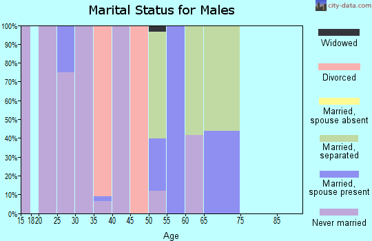 Zip code 38954 marital status for males