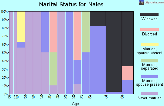 Zip code 38957 marital status for males