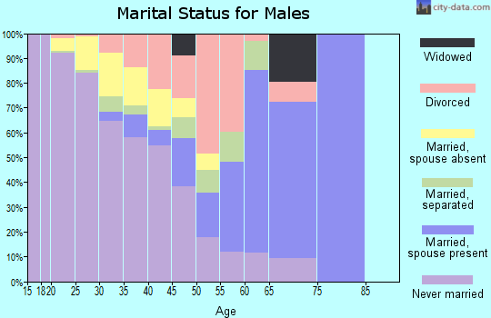 Zip code 38963 marital status for males