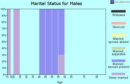 Zip code 38964 marital status for males