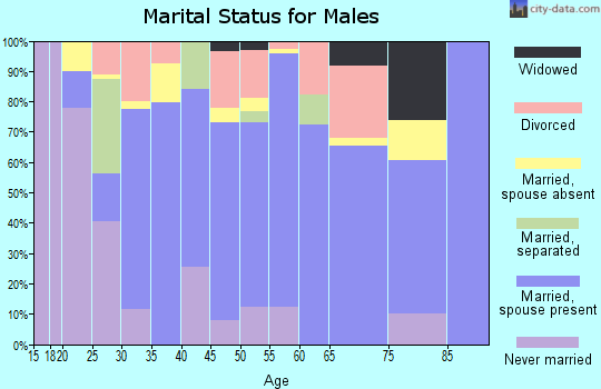 Zip code 38965 marital status for males