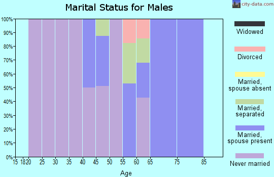 Zip code 38966 marital status for males