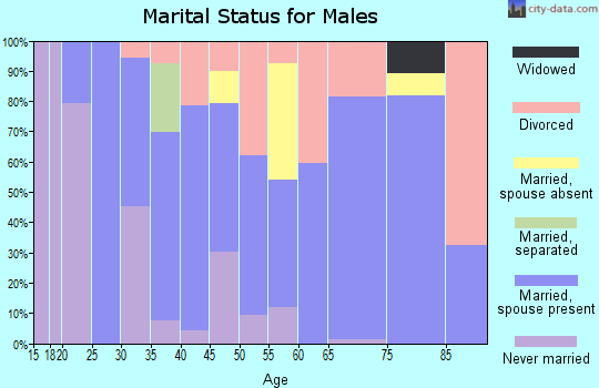 Zip code 38967 marital status for males