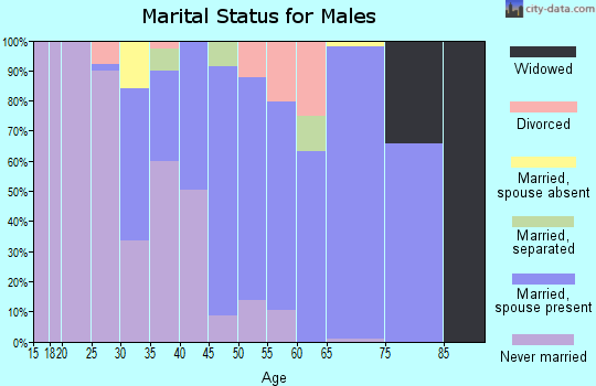Zip code 39040 marital status for males