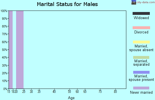 Zip code 39060 marital status for males
