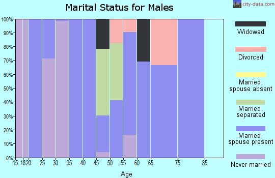 Zip code 39078 marital status for males