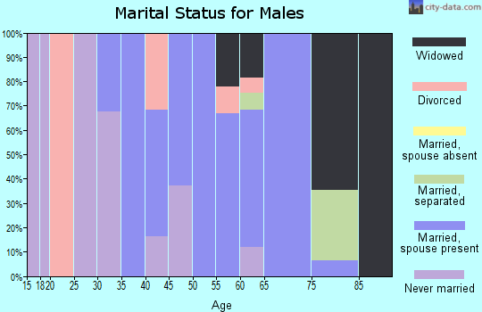 Zip code 39086 marital status for males