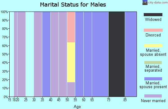 Zip code 39096 marital status for males