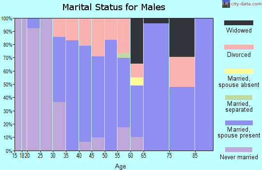Zip code 39140 marital status for males