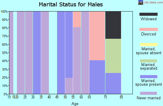Zip code 39144 marital status for males