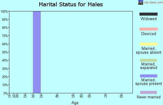 Zip code 39148 marital status for males