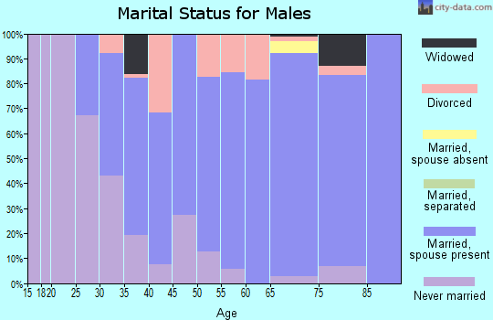 Zip code 39153 marital status for males