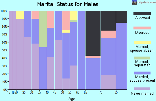 Zip code 39160 marital status for males