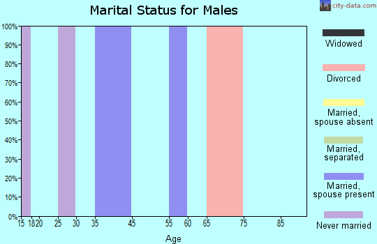 Zip code 39161 marital status for males
