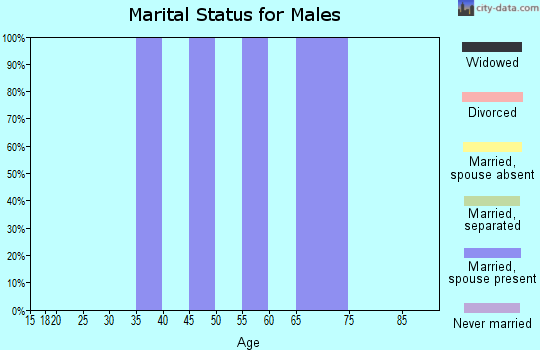 Zip code 39162 marital status for males
