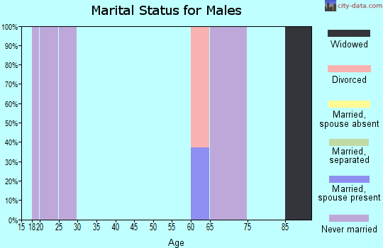 Zip code 39174 marital status for males
