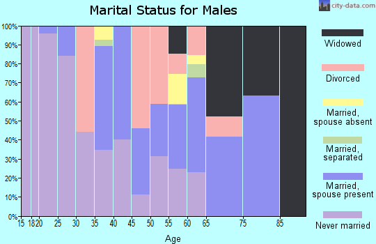 Zip code 39175 marital status for males