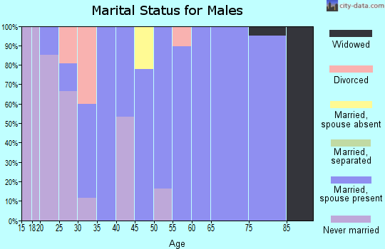 Zip code 39323 marital status for males
