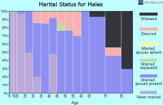 Zip code 39325 marital status for males