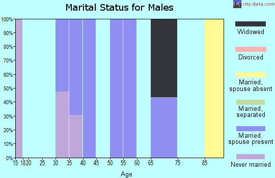 Zip code 39326 marital status for males