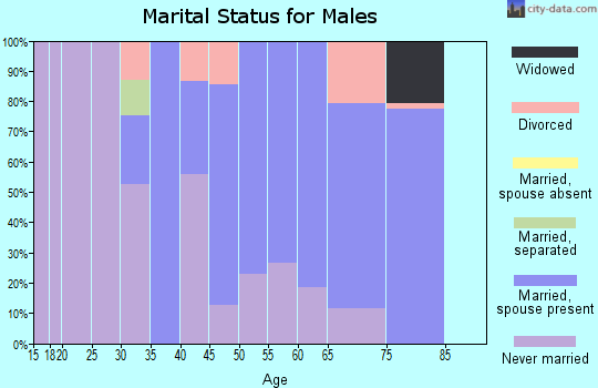 Zip code 39332 marital status for males