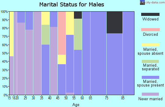 Zip code 39335 marital status for males