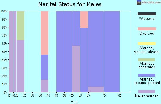 Zip code 39336 marital status for males