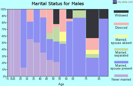 Zip code 39338 marital status for males