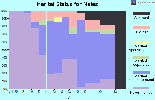 Zip code 39341 marital status for males