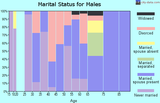 Zip code 39347 marital status for males