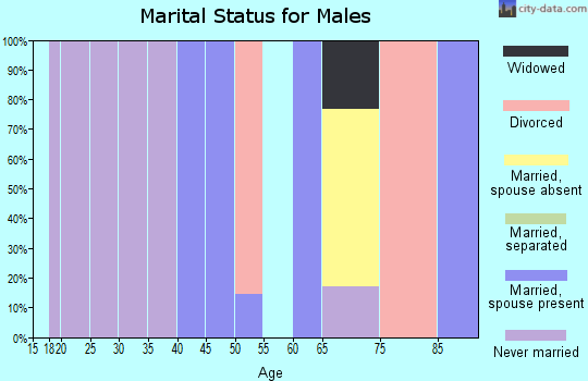 Zip code 39352 marital status for males