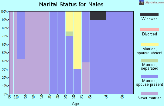 Zip code 39354 marital status for males