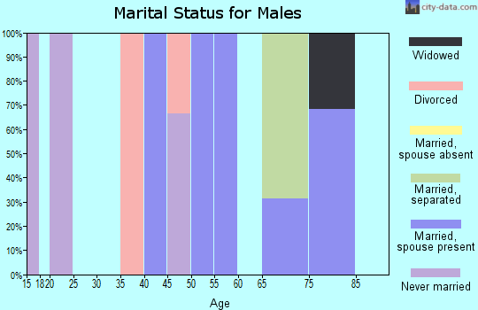 Zip code 39356 marital status for males